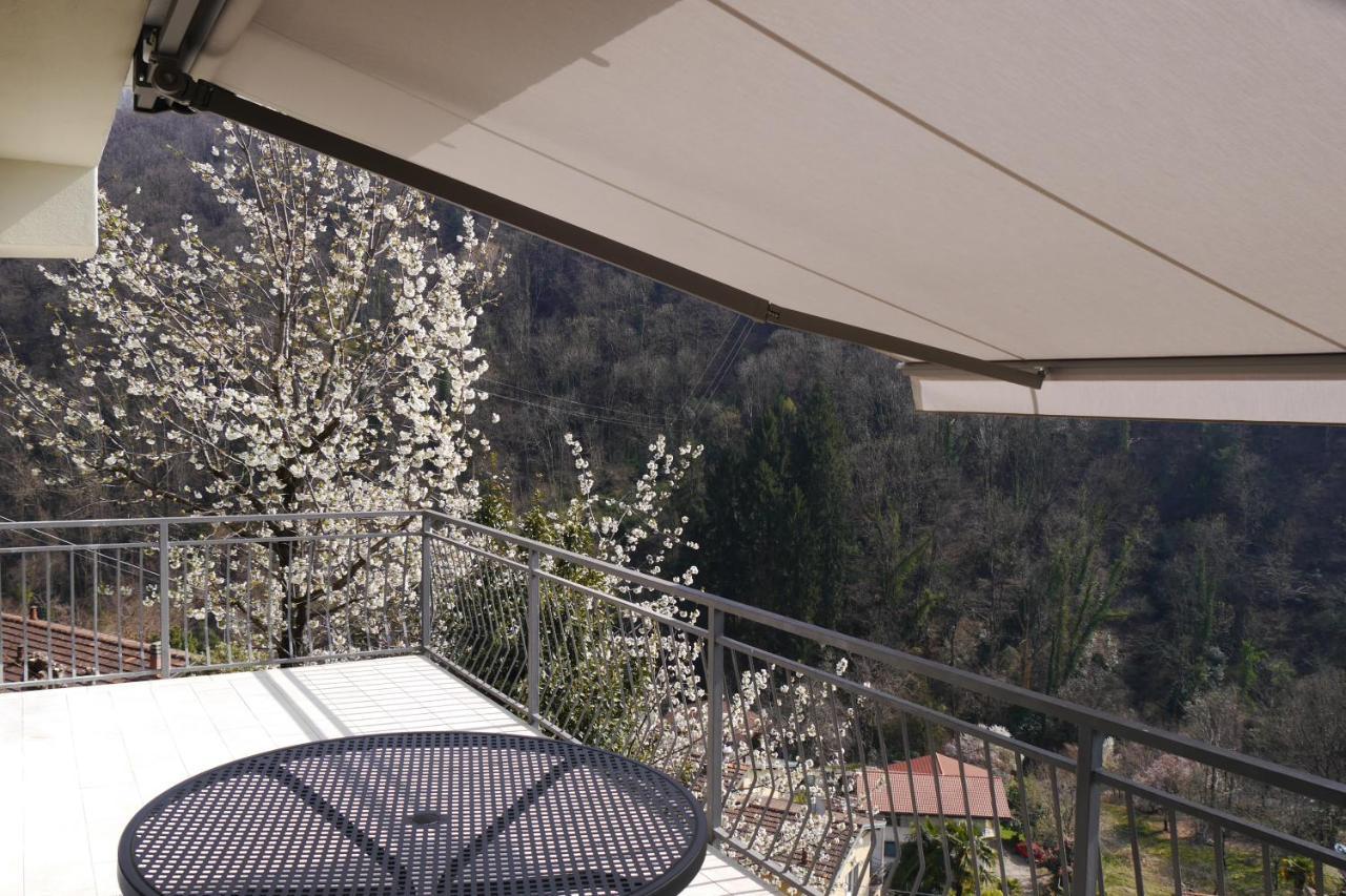 Casa Colmegna Mit Traumhaften See- Und Bergblick 루이노 외부 사진